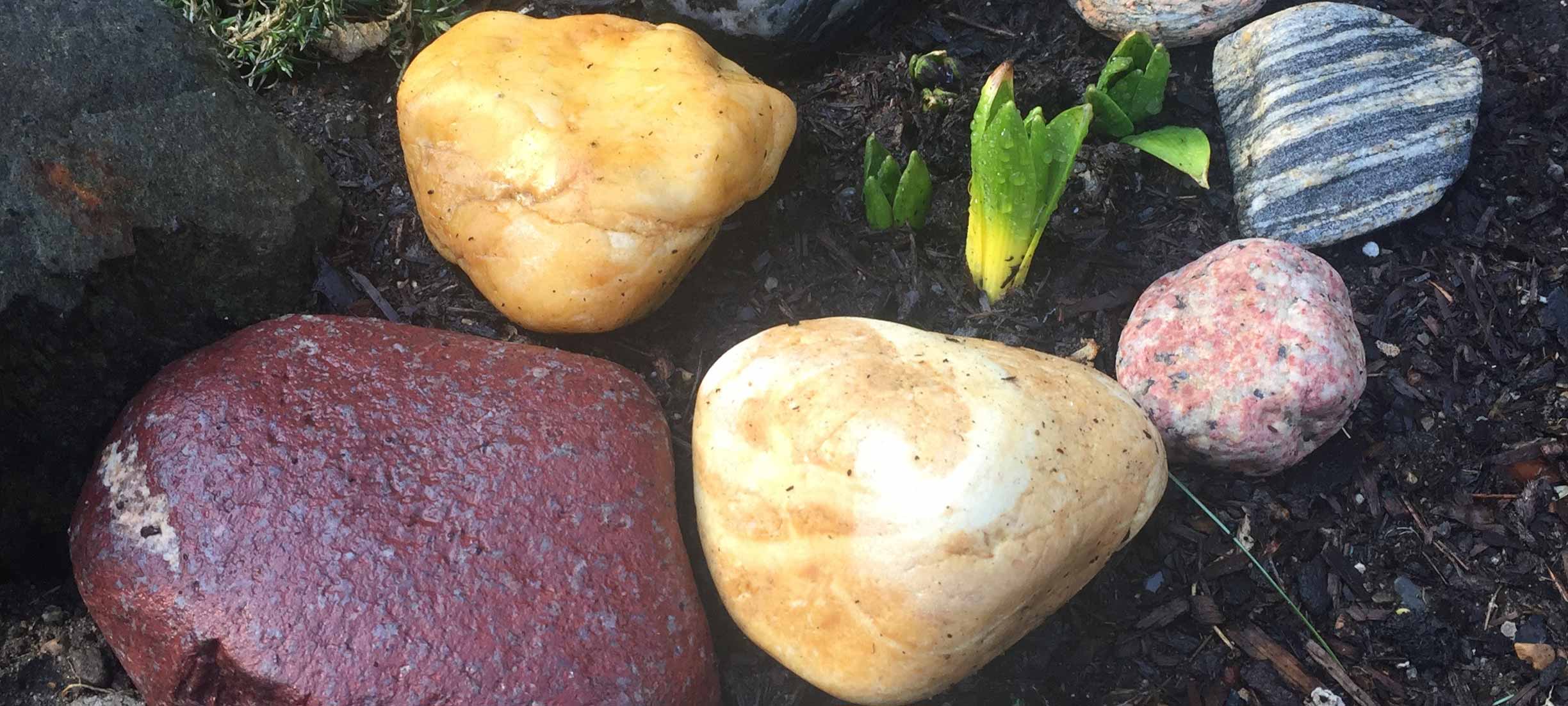 Hyacinthes are a first sign of the arrival of spring!